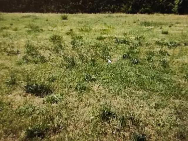 Achat maisons Caudebec lès Elbeuf 4 pièces