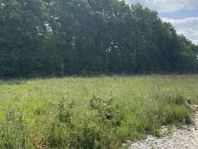 Achat maisons Celle Lévescault 5 pièces