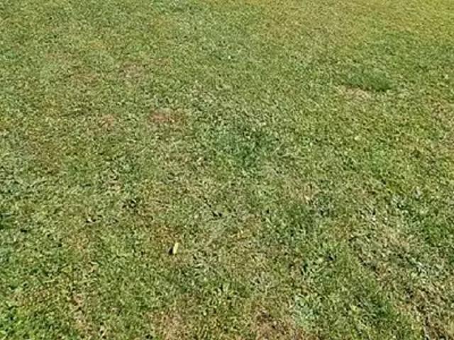 Achat maisons Chanteloup en Brie 8 pièces