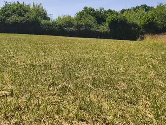 Achat maisons Chaillevette 4 pièces