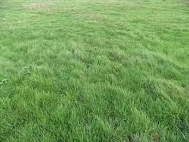 Achat maisons Château Landon 4 pièces