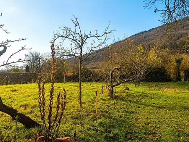 Achat maisons Châtenois 5 pièces