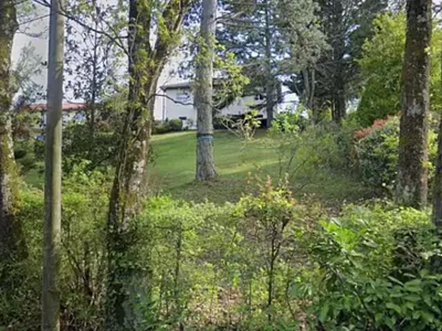 Achat maisons Civrieux d'Azergues 4 pièces