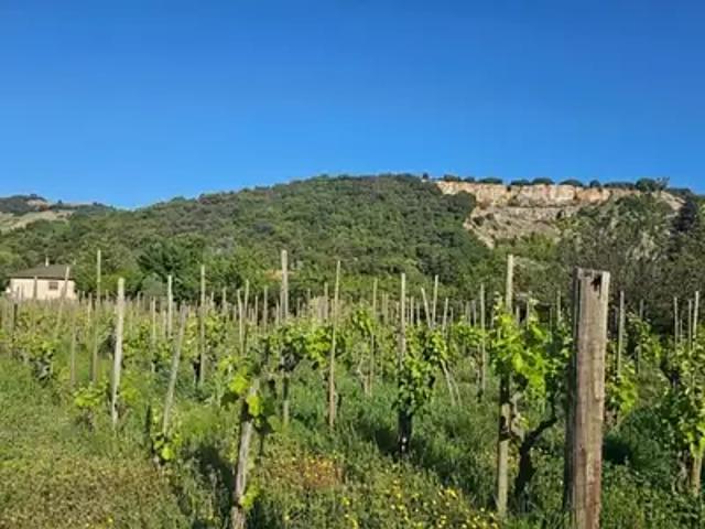 Achat maisons Cornas 5 pièces
