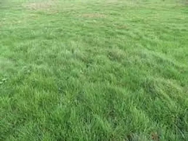 Achat maisons Courances 6 pièces