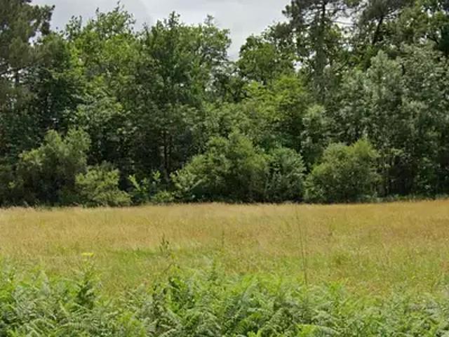 Achat maisons Coursac 5 pièces