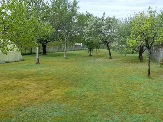 Achat maisons Couzeix 3 pièces