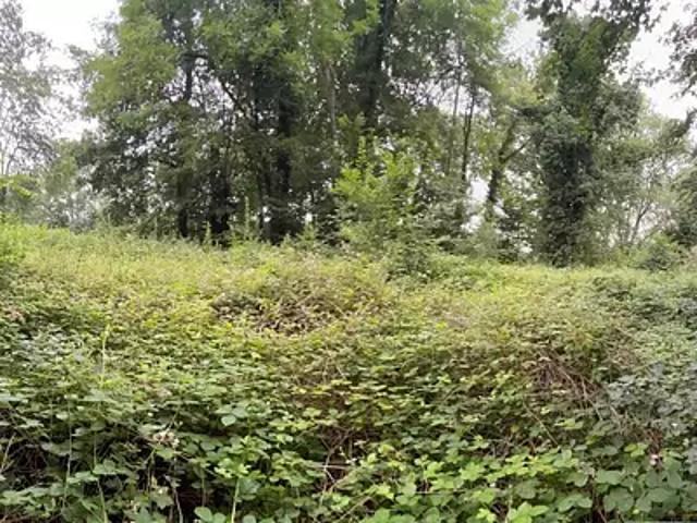 Achat maisons Cravent 5 pièces