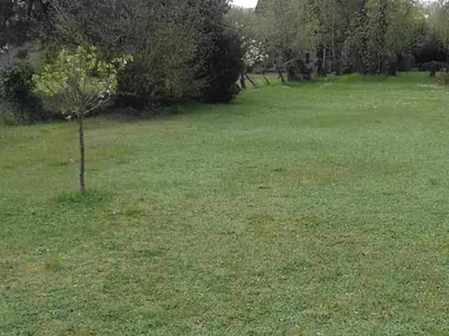 Achat maisons Dannemois 5 pièces