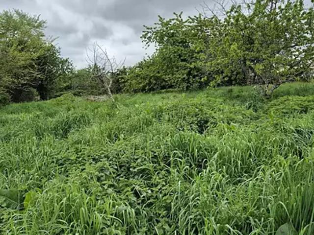 Achat maisons Dignac 4 pièces