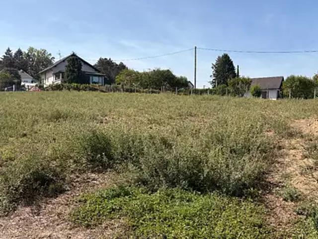 Achat maisons Dietwiller 5 pièces