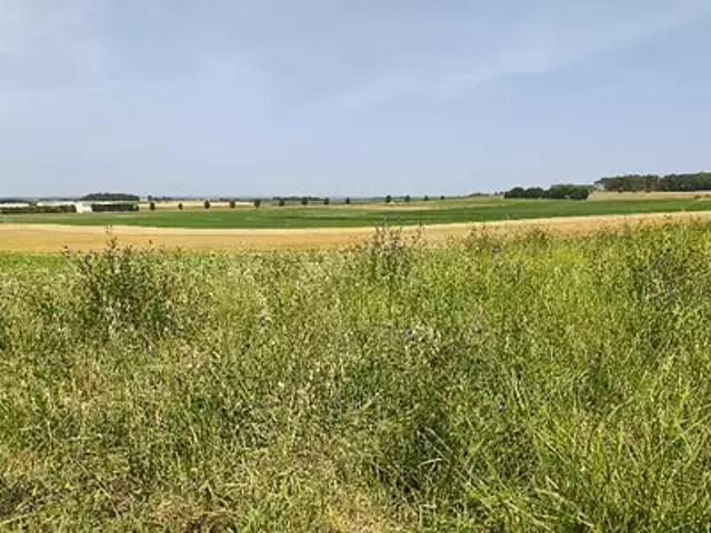 Achat maisons Etaules 5 pièces