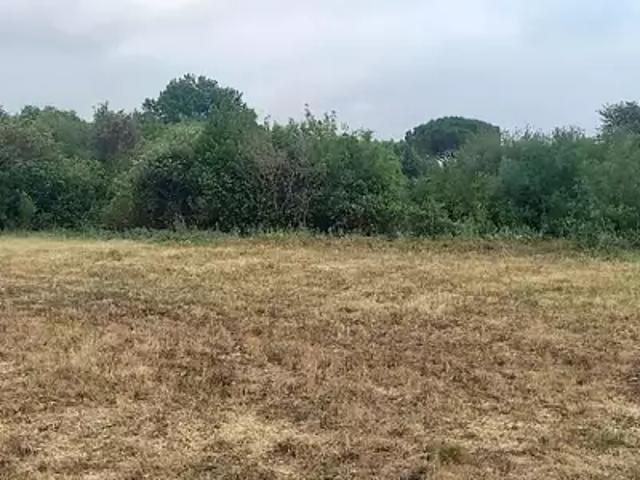 Achat maisons Embres et Castelmaure 5 pièces
