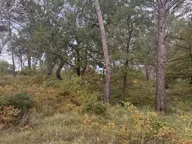 Achat maisons Fuveau 5 pièces