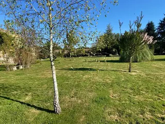 Achat maisons Faleyras 1 pièce