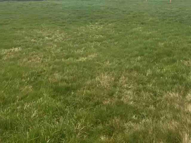 Achat maisons Gacé 3 pièces