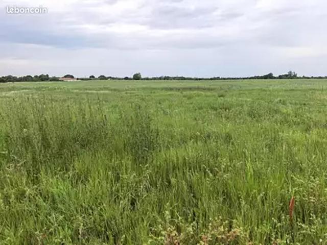 Achat maisons Gainneville 4 pièces