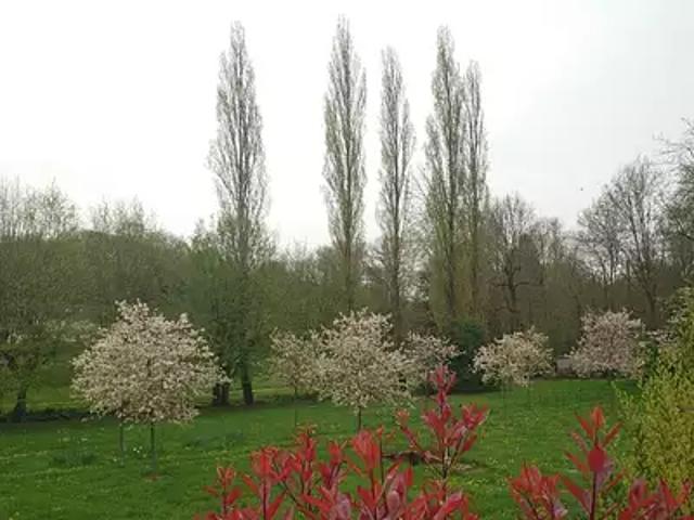 Achat maisons Gasville Oisème 3 pièces