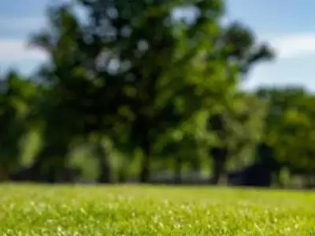 Achat maisons Gruchet le Valasse 5 pièces