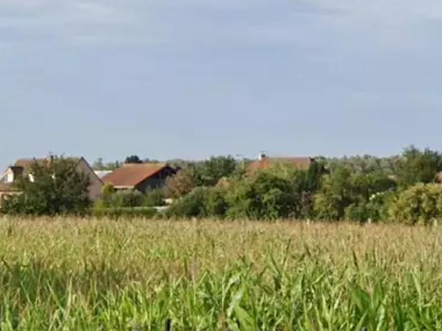 Achat maisons Hantay 5 pièces