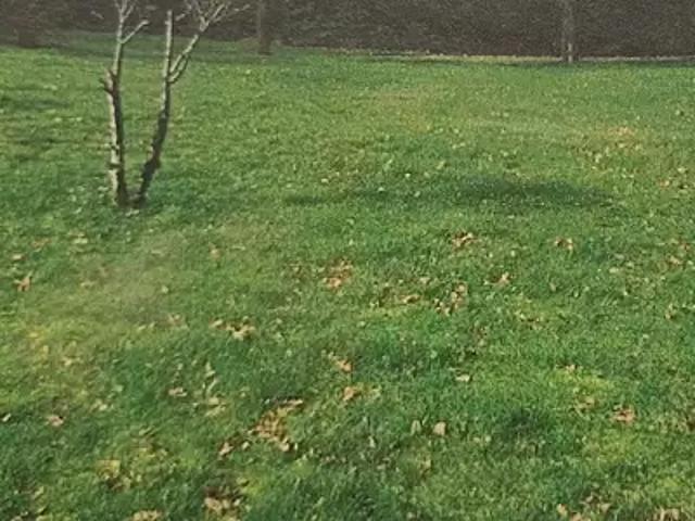 Achat maisons La Plaine sur Mer 3 pièces