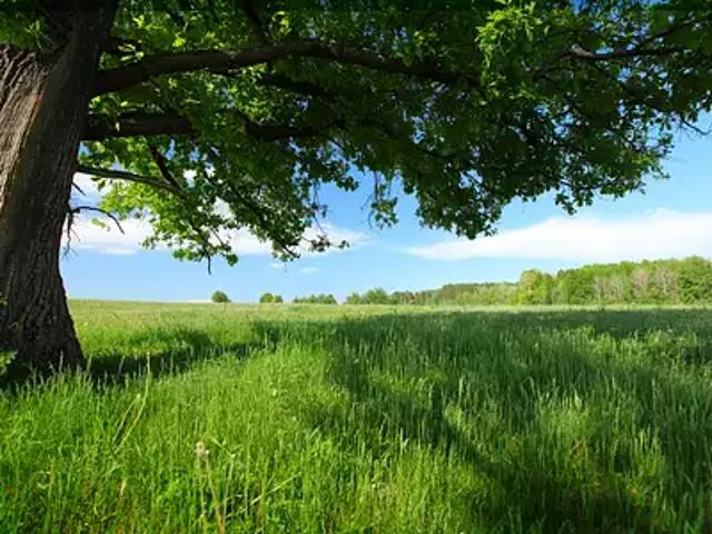 Achat maisons La Rochefoucauld en Angoumois 4 pièces