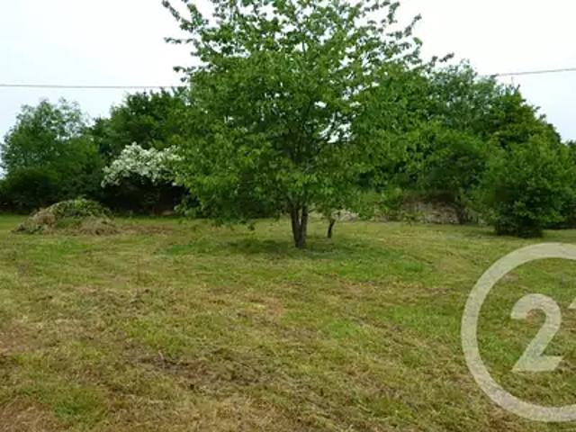 Achat maisons Laffite Toupière 4 pièces