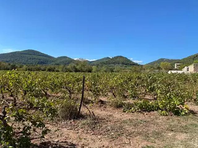 Achat maisons Le Castellet 5 pièces