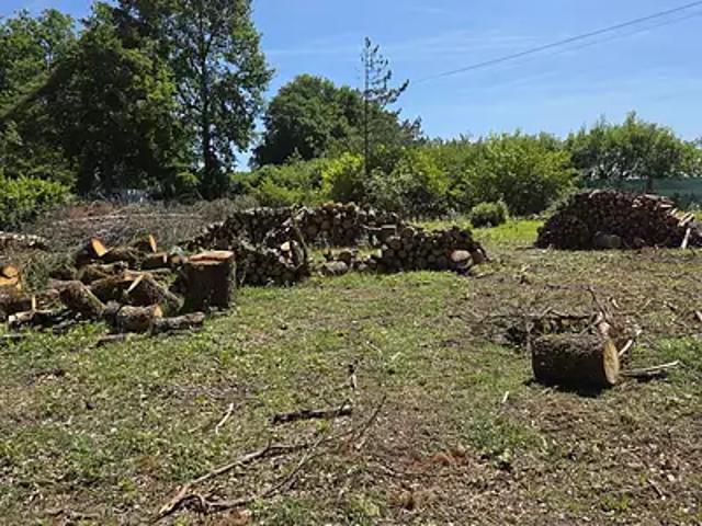 Achat maisons Lencloître 4 pièces
