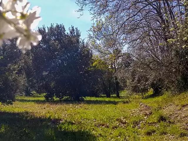 Achat maisons Les Cluses 4 pièces