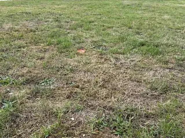 Achat maisons Les Damps 5 pièces