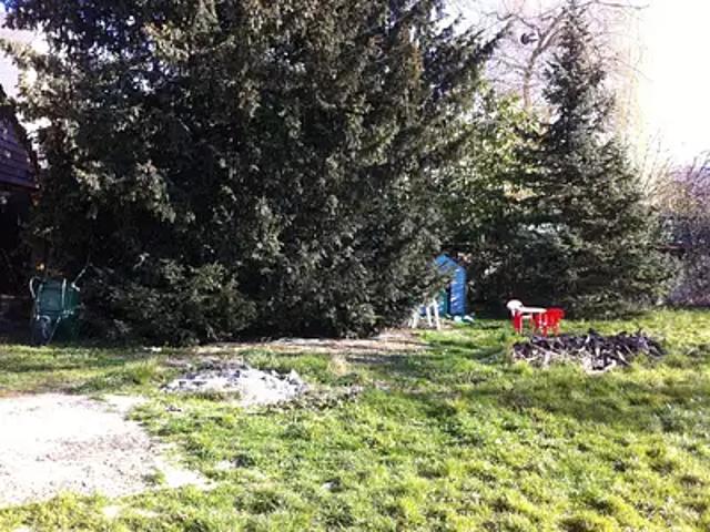 Achat maisons L'Etang la Ville 6 pièces