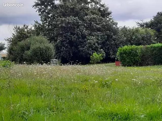 Achat maisons Lillebonne 7 pièces