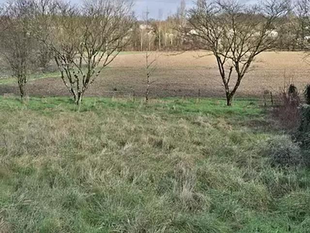 Achat maisons Linars 4 pièces