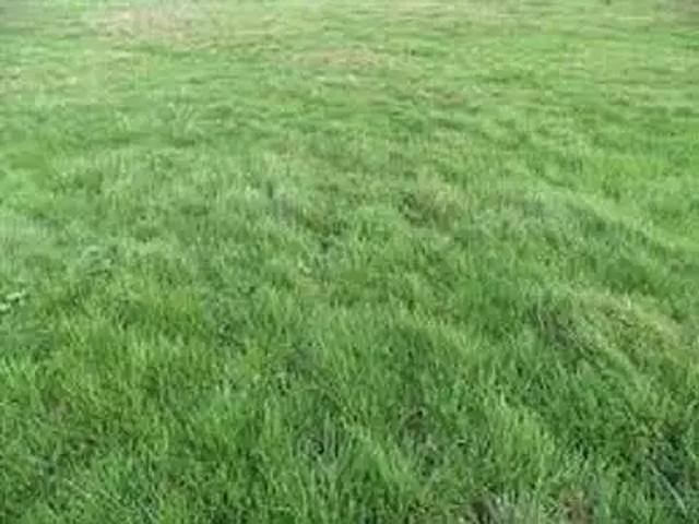 Achat maisons Lissy 5 pièces