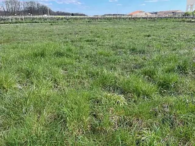 Achat maisons Louzac Saint André 4 pièces