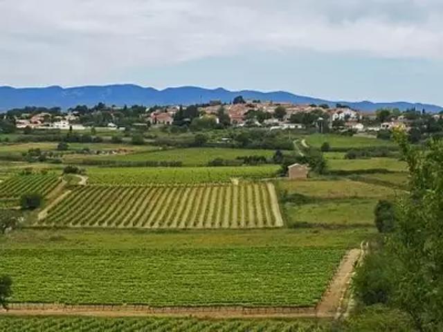 Achat maisons Pailhès 6 pièces