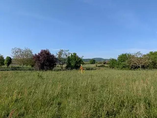 Achat maisons Palaminy 5 pièces