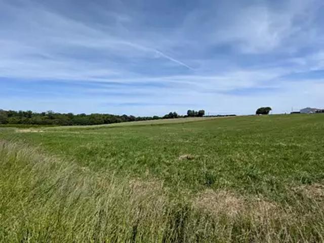 Achat maisons Pizay 4 pièces
