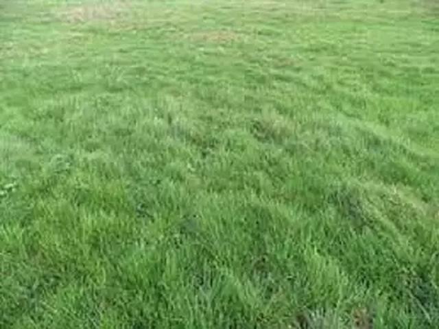 Achat maisons Rubelles 7 pièces