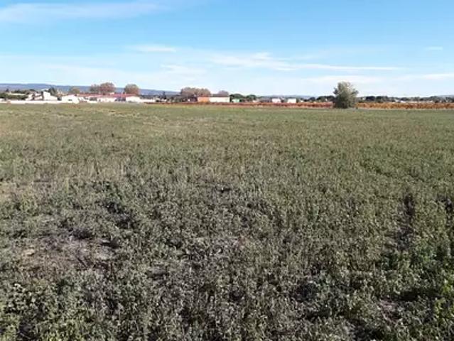 Achat maisons Rieux Minervois 6 pièces