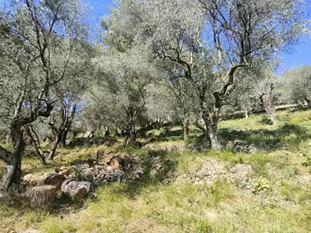 Achat maisons Saint Martin du Var 4 pièces