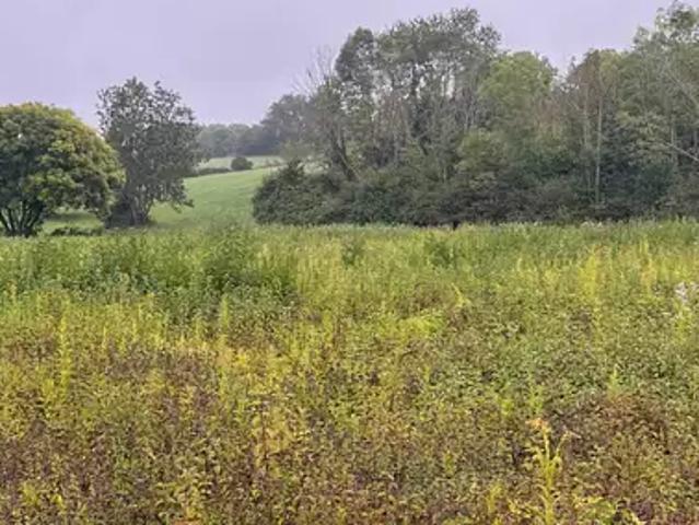 Achat maisons Saint Ondras 4 pièces
