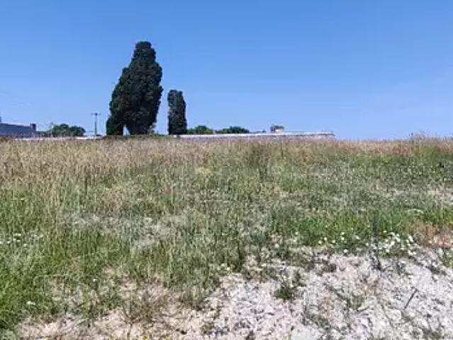 Achat maisons Saint Augustin des Bois 5 pièces