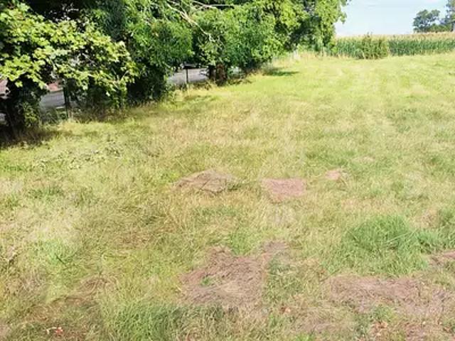 Achat maisons Saint Cyr sur Menthon 5 pièces