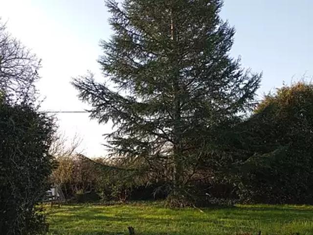 Achat maisons Saint Caprais de Bordeaux 4 pièces
