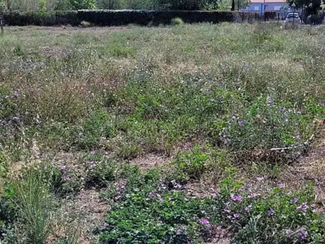 Achat maisons Saint Jean Pla de Corts 3 pièces