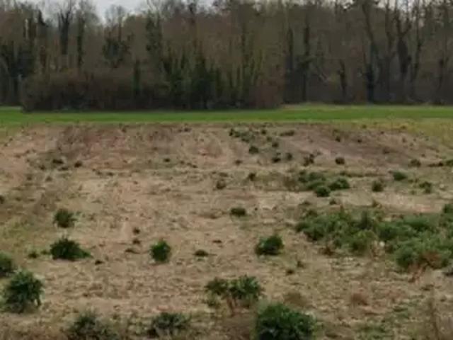Achat maisons Saint Lyé 5 pièces