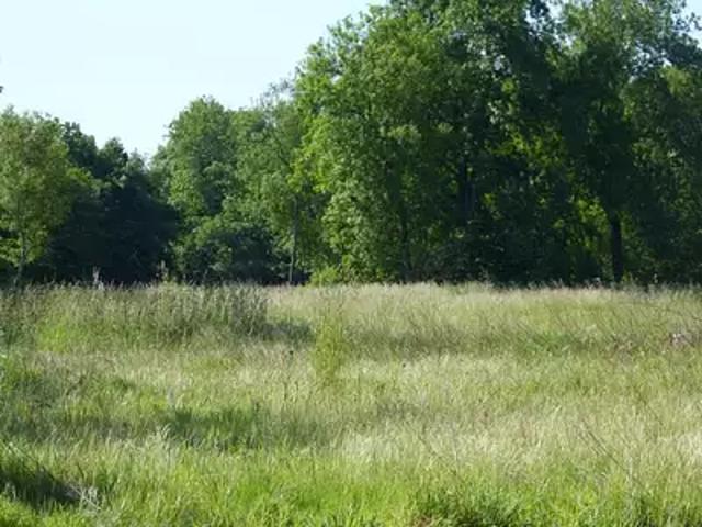 Achat maisons Saint Léger du Bourg Denis 4 pièces