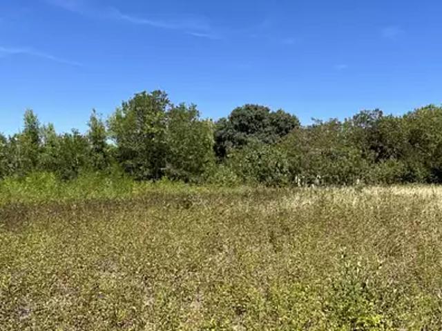 Achat maisons Saint Papoul 7 pièces